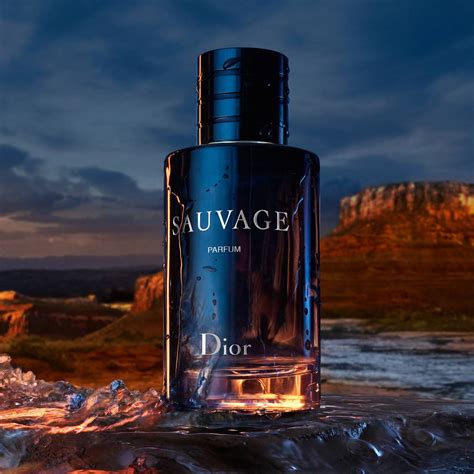 eau de parfum dior sauvage duftprobe|dior sauvage parfum 100ml price.